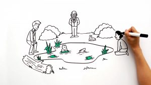 whiteboard animation